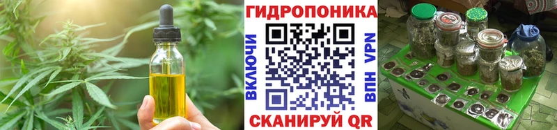 купить наркотики сайты  Вологда  Cannafood марихуана 