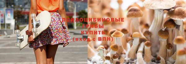 MESCALINE Алзамай