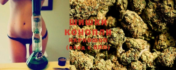ешки Алексин