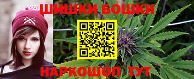гидропоника Дубна