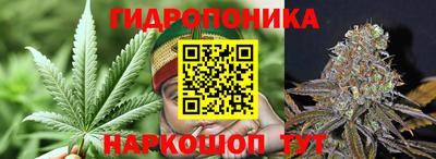 гидропоника Дубна