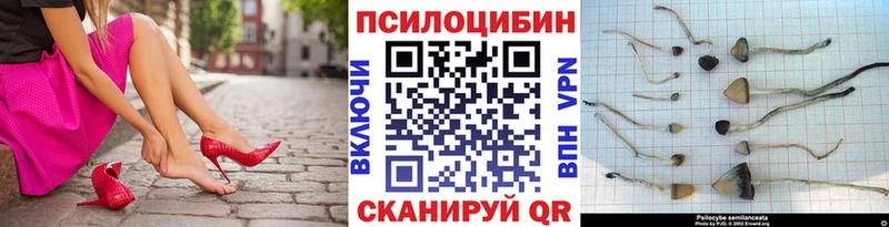 Галлюциногенные грибы Cubensis  kraken сайт  Вологда  купить закладку 