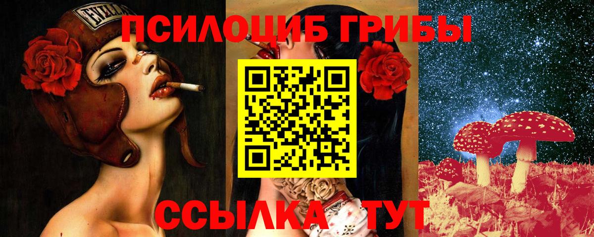 Псилоцибиновые грибы мицелий Вологда